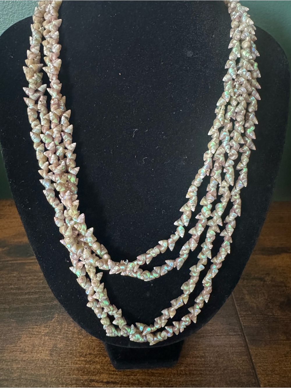 Vintage 36" Tasmanian Indigenous Palawa Maireener Kelp Shell Necklace 10.79g